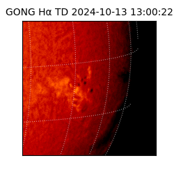 gong - 2024-10-13T13:00:22