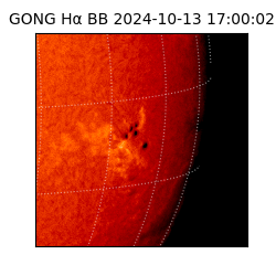 gong - 2024-10-13T17:00:02