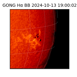 gong - 2024-10-13T19:00:02