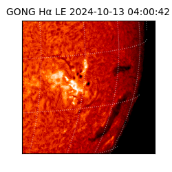 gong - 2024-10-13T04:00:42