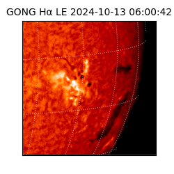 gong - 2024-10-13T06:00:42