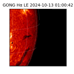 gong - 2024-10-13T01:00:42