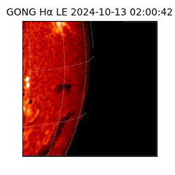 gong - 2024-10-13T02:00:42