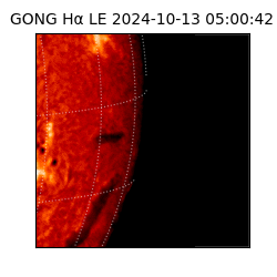 gong - 2024-10-13T05:00:42