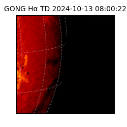 gong - 2024-10-13T08:00:22