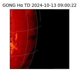 gong - 2024-10-13T09:00:22