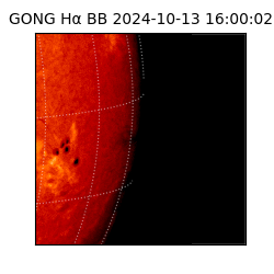 gong - 2024-10-13T16:00:02