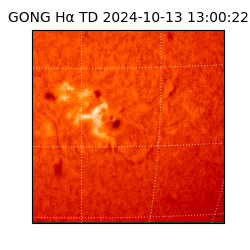 gong - 2024-10-13T13:00:22