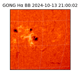 gong - 2024-10-13T21:00:02