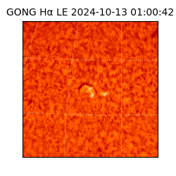 gong - 2024-10-13T01:00:42