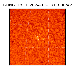 gong - 2024-10-13T03:00:42