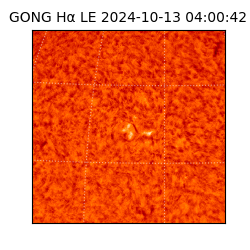 gong - 2024-10-13T04:00:42