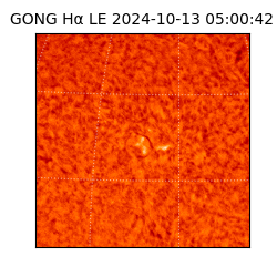 gong - 2024-10-13T05:00:42