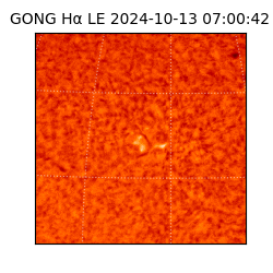 gong - 2024-10-13T07:00:42