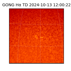 gong - 2024-10-13T12:00:22