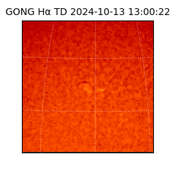 gong - 2024-10-13T13:00:22