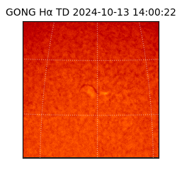 gong - 2024-10-13T14:00:22