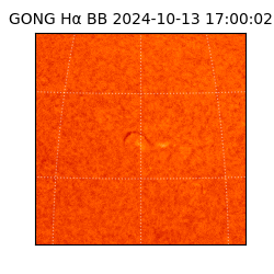 gong - 2024-10-13T17:00:02