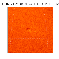 gong - 2024-10-13T19:00:02