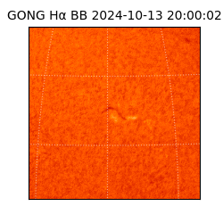 gong - 2024-10-13T20:00:02