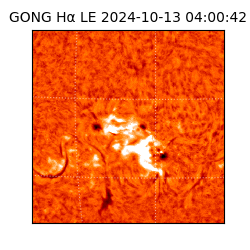 gong - 2024-10-13T04:00:42