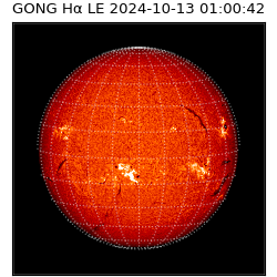 gong - 2024-10-13T01:00:42