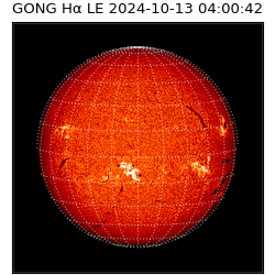 gong - 2024-10-13T04:00:42