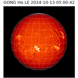 gong - 2024-10-13T05:00:42