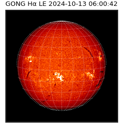 gong - 2024-10-13T06:00:42