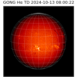 gong - 2024-10-13T08:00:22