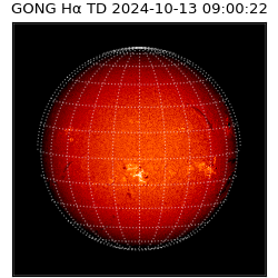 gong - 2024-10-13T09:00:22