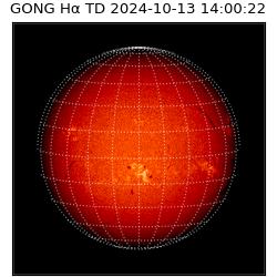 gong - 2024-10-13T14:00:22