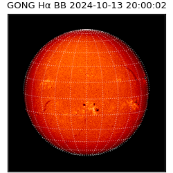 gong - 2024-10-13T20:00:02