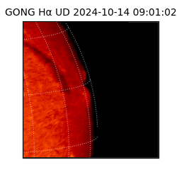 gong - 2024-10-14T09:01:02