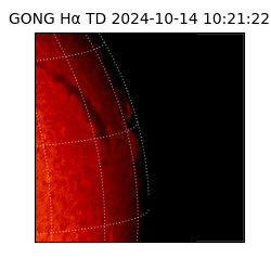 gong - 2024-10-14T10:21:22