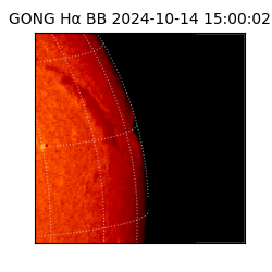 gong - 2024-10-14T15:00:02