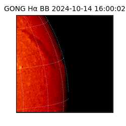 gong - 2024-10-14T16:00:02