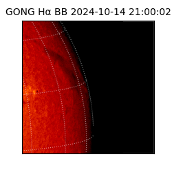 gong - 2024-10-14T21:00:02