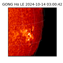 gong - 2024-10-14T03:00:42