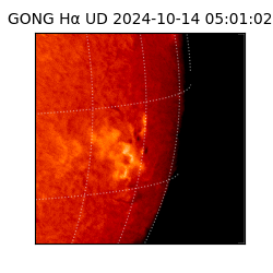 gong - 2024-10-14T05:01:02