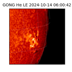 gong - 2024-10-14T06:00:42