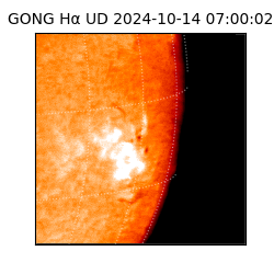 gong - 2024-10-14T07:00:02