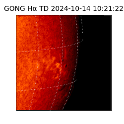 gong - 2024-10-14T10:21:22