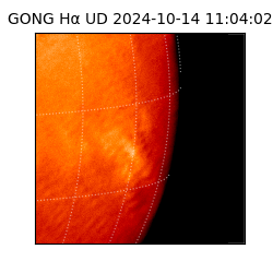 gong - 2024-10-14T11:04:02