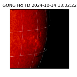 gong - 2024-10-14T13:02:22