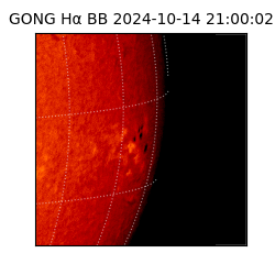 gong - 2024-10-14T21:00:02