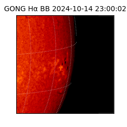 gong - 2024-10-14T23:00:02