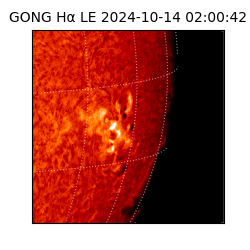 gong - 2024-10-14T02:00:42