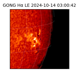 gong - 2024-10-14T03:00:42