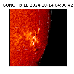 gong - 2024-10-14T04:00:42